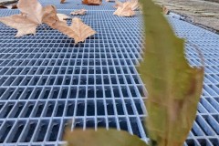 PXL_20251129_150946249.MP2_