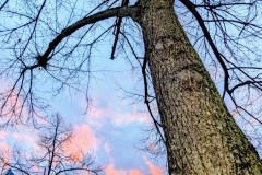 PXL_20251129_1535494362