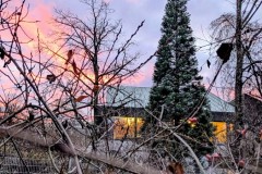 PXL_20251129_1538155792