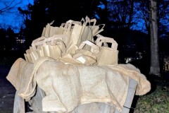 PXL_20251129_1616270572