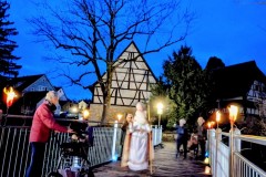 PXL_20251129_162105148.NIGHT2_