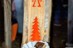 PXL_20251129_1643400253