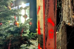 PXL_20251129_164447744.NIGHT4_