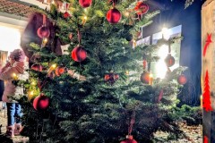 PXL_20251129_164547767.NIGHT3_