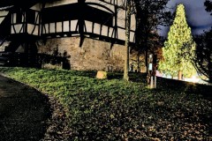 PXL_20251129_165614686.NIGHT3_