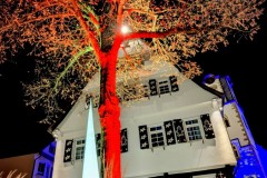 PXL_20241129_183804676.NIGHT2_