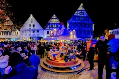 PXL_20241129_185808138.NIGHT2_