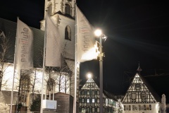 PXL_20251221_174455698.NIGHT_.RAW-01.COVER_