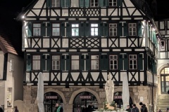 PXL_20251221_180354941.NIGHT_.RAW-01.COVER_