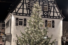 PXL_20251221_180448876.NIGHT_.RAW-01.COVER_