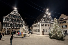 PXL_20251221_182555407.NIGHT_.RAW-01.COVER_