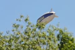Zeppelin NT über Pfullingen