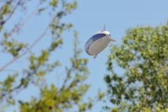 Zeppelin NT über Pfullingen